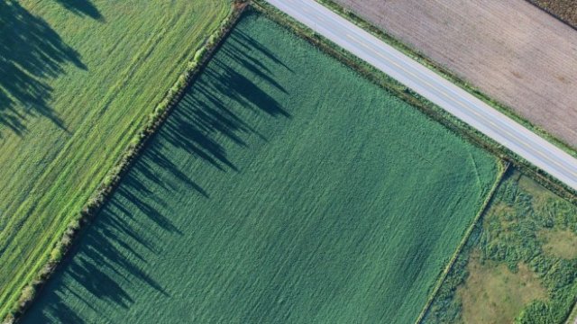 <p>
	<em>Снимка: Pixabay</em></p>
