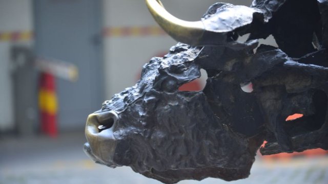 Снимка: БФБ АД