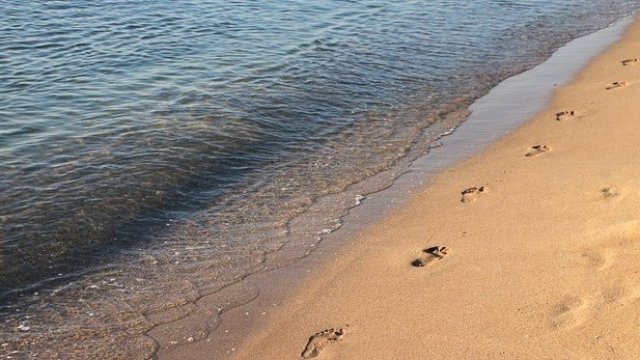 <p>
	<em>Снимка: Pixabay</em></p>
