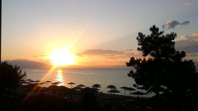 Снимка: Investor.bg