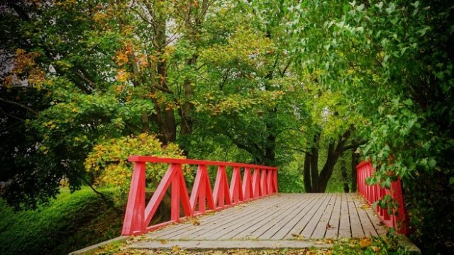 <p>
	<em>Снимка: Pixabay</em></p>
