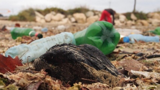 <p>
	<em>Снимка: БГНЕС</em></p>
