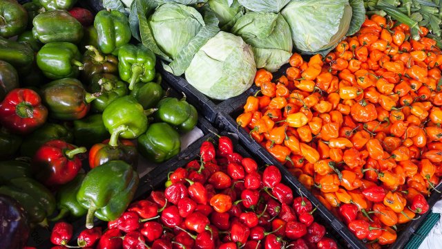 Снимка: Pexels