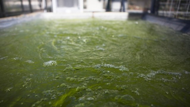 <p>
	<em>Снимка: Ройтерс</em></p>
