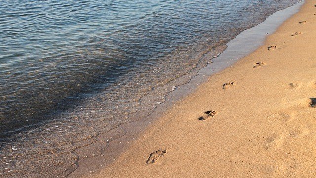 <p>
	<em>Снимка: Pixabay</em></p>
