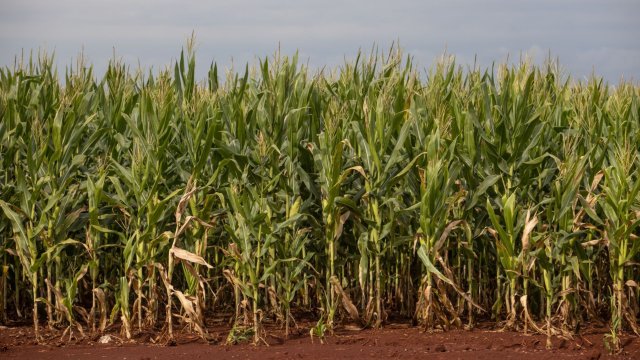 Снимка: Bloomberg LP