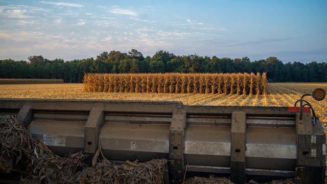 Снимка: Bloomberg L.P.
