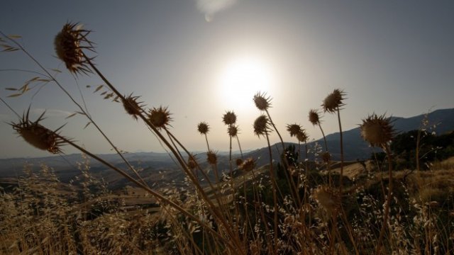 <p>
	<em>Снимка: Tullio Puglia/Bloomberg</em></p>
