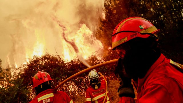 Снимка: EPA/БГНЕС