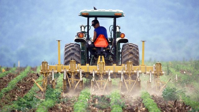 Снимка: Bloomberg LP