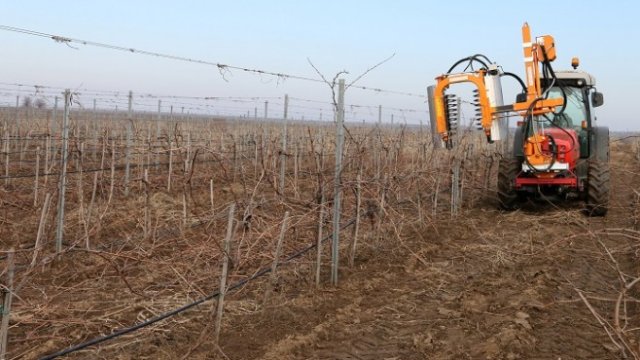 <p>
	Снимка: БТА</p>
