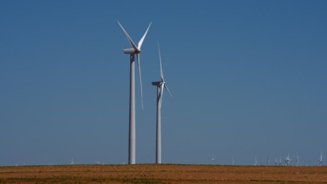 <p>
	<em>Снимка: Ройтерс</em></p>
