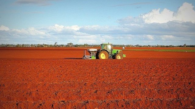 <p>
	<em>Снимка: Pixabay</em></p>
