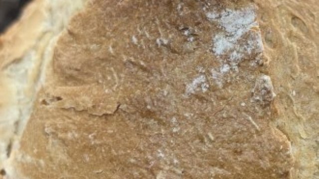 <p>
	<em>Снимка: Зара Русева, БГНЕС</em></p>
