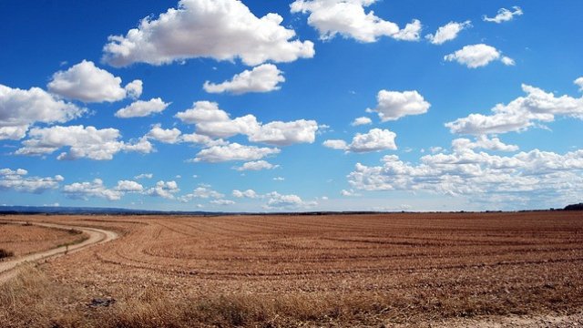 Снимка: Pixabay