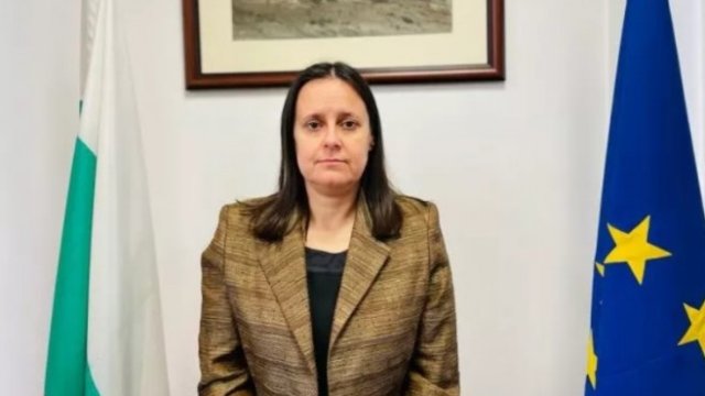 <p>
	<em>Снимка: МРРБ</em></p>
