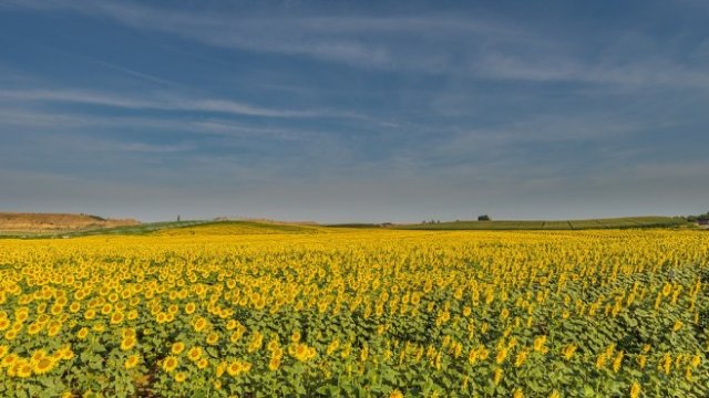 <p>
	<em>Снимка: Pixabay</em></p>
