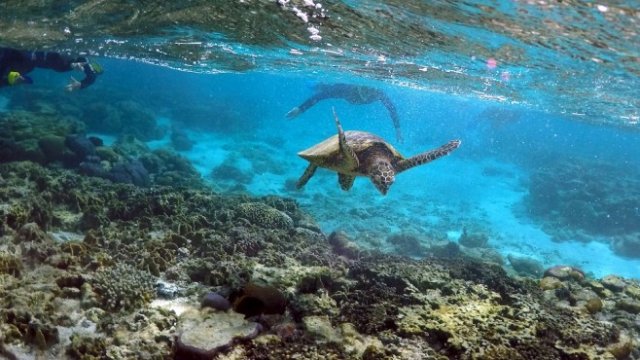 <p>
	<em>Снимка: Архив Ройтерс</em></p>
