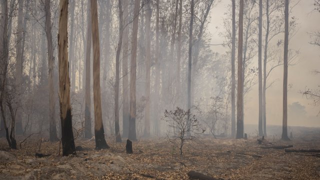 Снимка: Bloomberg