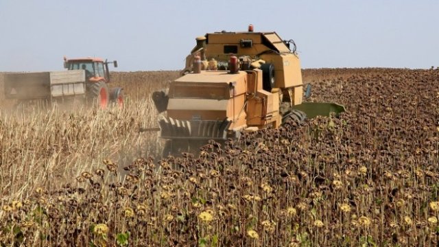 <p>
	<em>Снимка: БТА</em></p>
