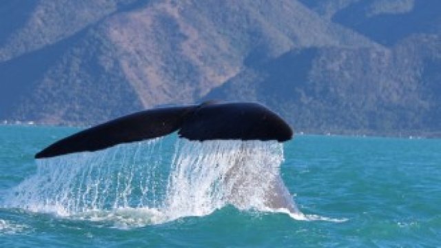 <p>
	<em>Снимка: Pixabay.com</em></p>
