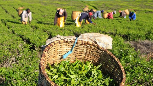 <p>
	<em>Снимка: архив Ройтерс</em></p>
