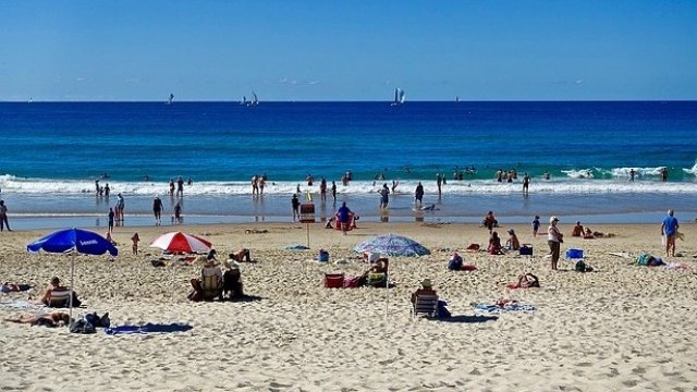 <p>
	<em>Снимка: Pixabay</em></p>
