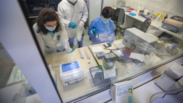 <p>
	<em font-size:="" pt="" style="color: rgb(102, 102, 102); font-family: ">Снимка: Димитър Кьосемарлиев, Investor Media Group</em></p>
