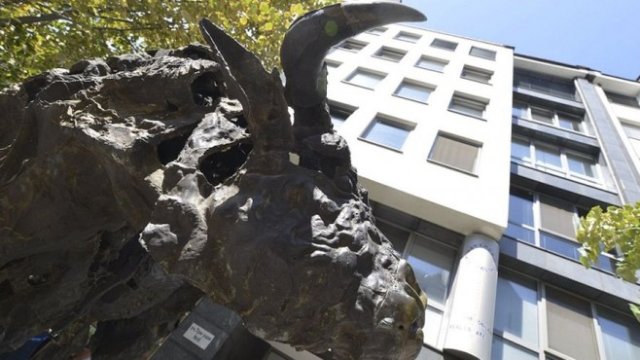 <p>
	<em>Снимка: БФБ АД</em></p>
