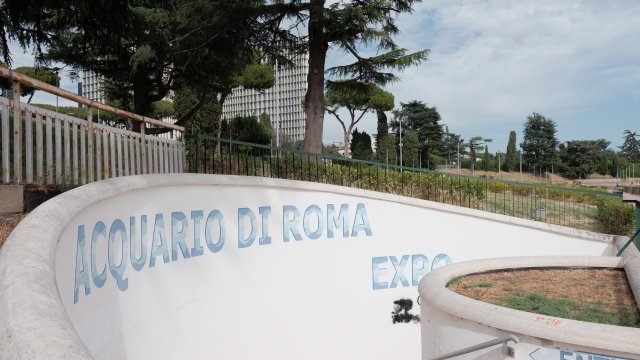 Снимка: Bloomberg