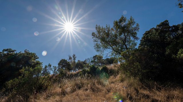 Снимка: Bloomberg L.P.