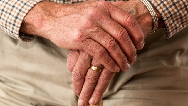 <p>
	<em>Снимка: pixabay</em></p>
