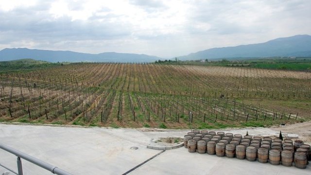 <p>
	<em>Снимка: БТА</em></p>
