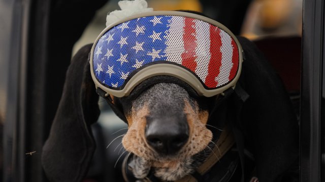 Снимка: Bloomberg