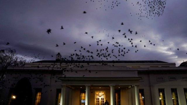 <p>
	Белия Дом. <em>Снимка: Ройтерс</em></p>
