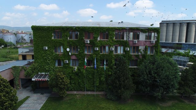 Снимка: Градус