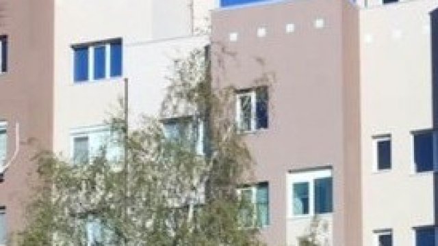 <p>
	<em>Снимка: МРРБ</em></p>
