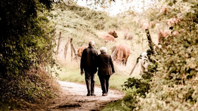 <p>
	<em>Снимка: Pixabay</em></p>
