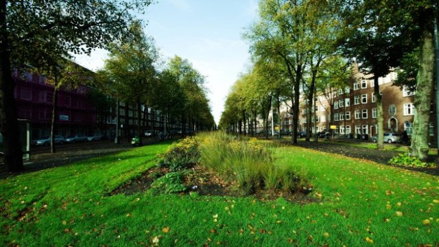 <p>
	<em>Снимка: pixabay.com</em></p>
