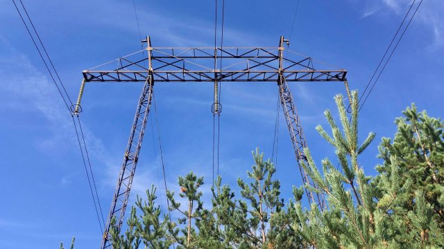 Снимка: Investor.bg