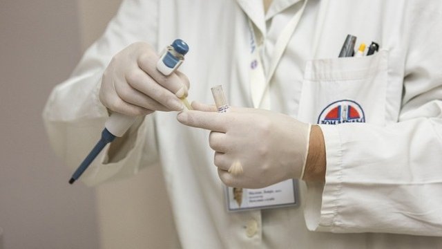 Снимка: Pixabay