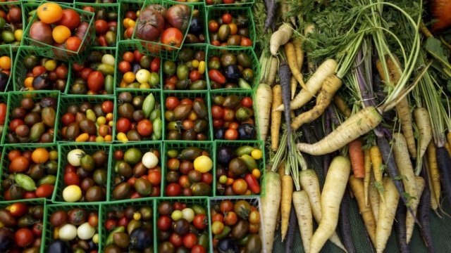 <p>
	<em>Снимка: pixabay.com</em></p>
