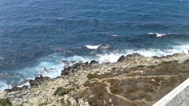 <p>
	<em>Снимка: Investor.bg</em></p>
