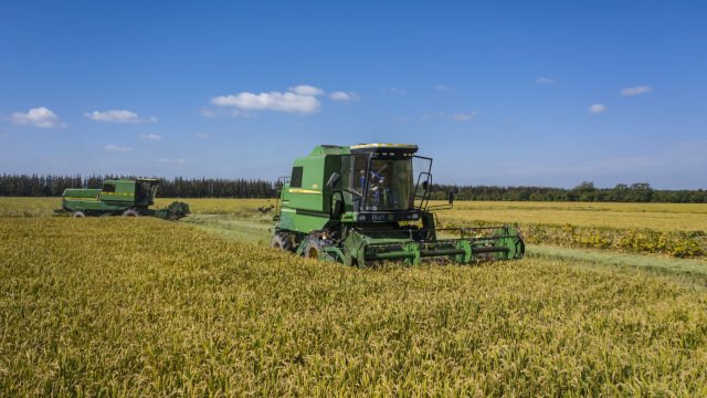 Снимка: Qilai Shen/Bloomberg