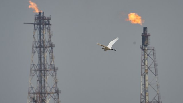 Снимка: Bloomberg