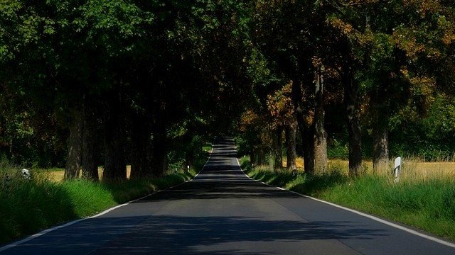 <p>
	<em>Снимка: Pixabay</em></p>
