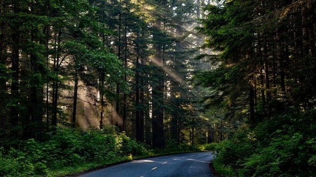 <p>
	<em>Снимка: Pixabay</em></p>
