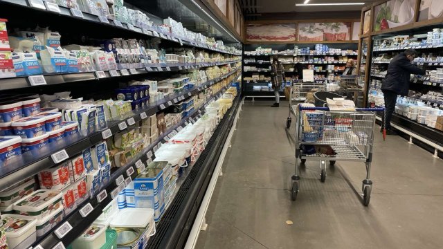 Снимка: БГНЕС/ДИМИТЪР НИКОЛОВ