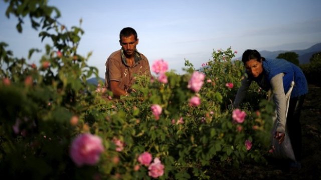 <p>
	<em>Снимка: Архив Ройтерс</em></p>
