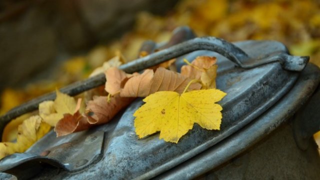 <p>
	<em>Снимка: Pixabay</em></p>
